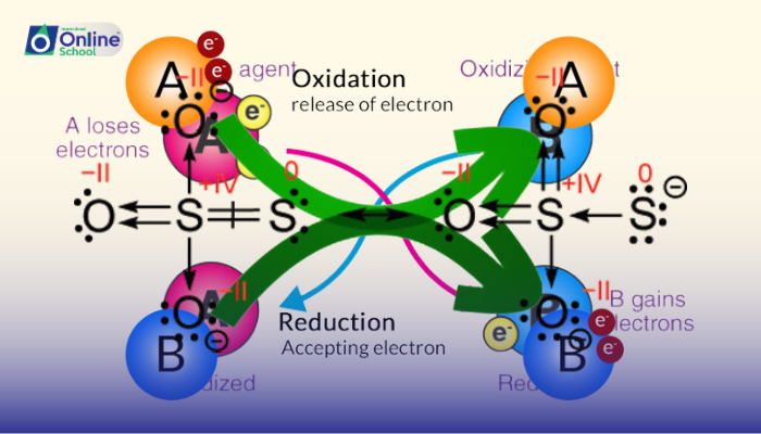Lesson 06: Rules for Assigning Oxidation Numbers